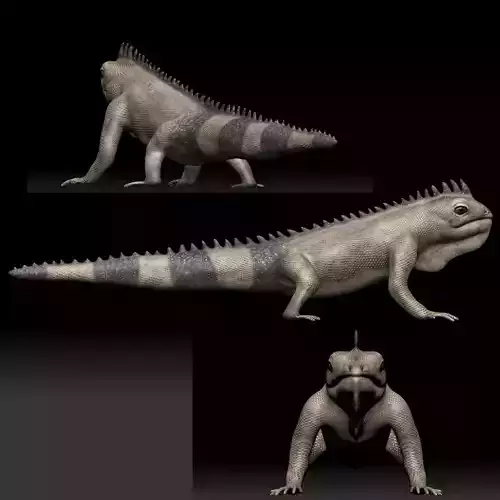 Iguana Lizard Low-poly 3D model