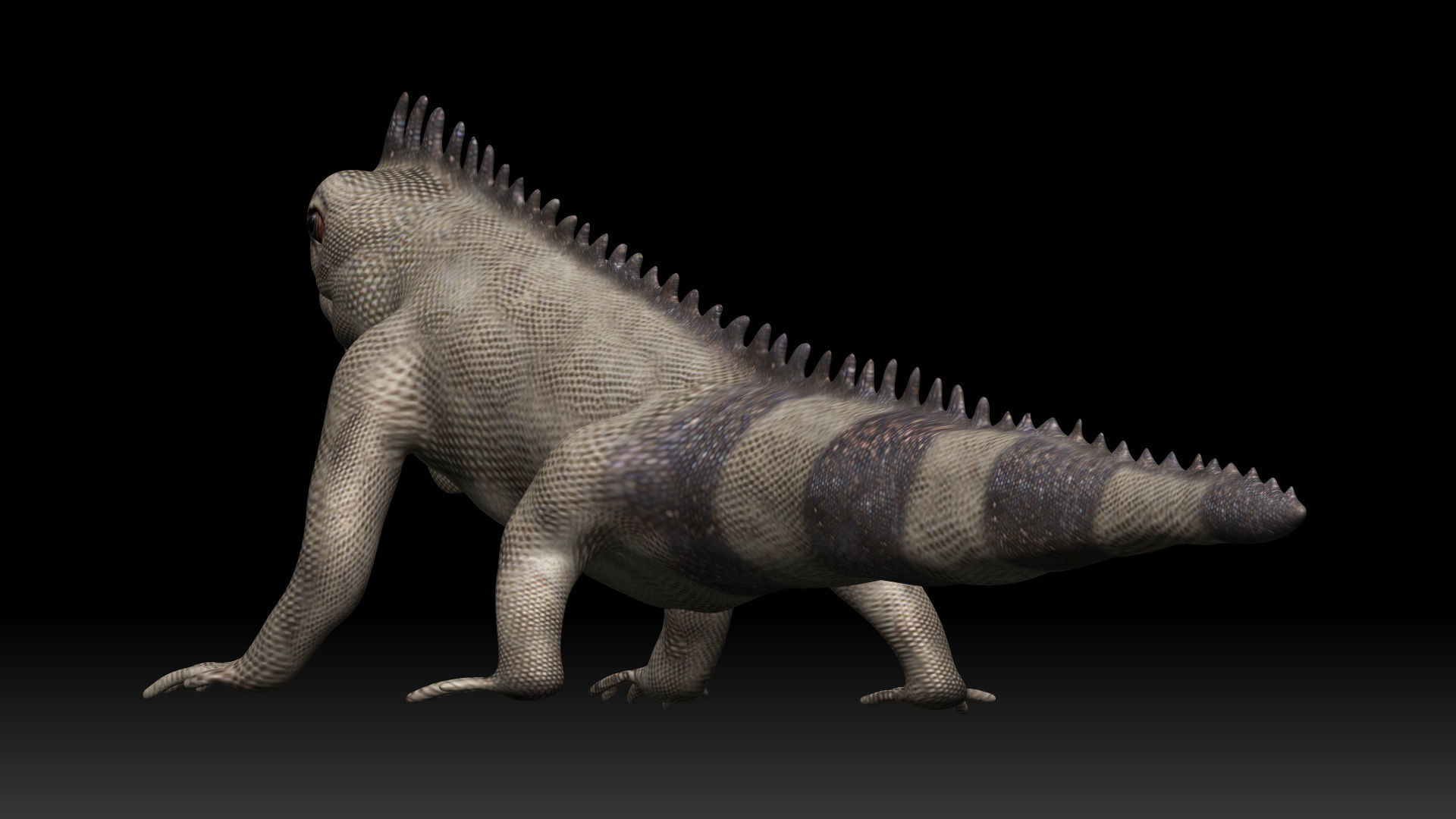 Iguana Lizard Low-poly 3D model_2