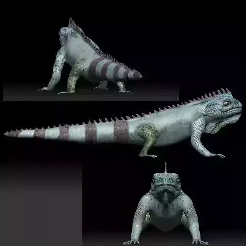 Iguana Lizard Low-poly 3D model