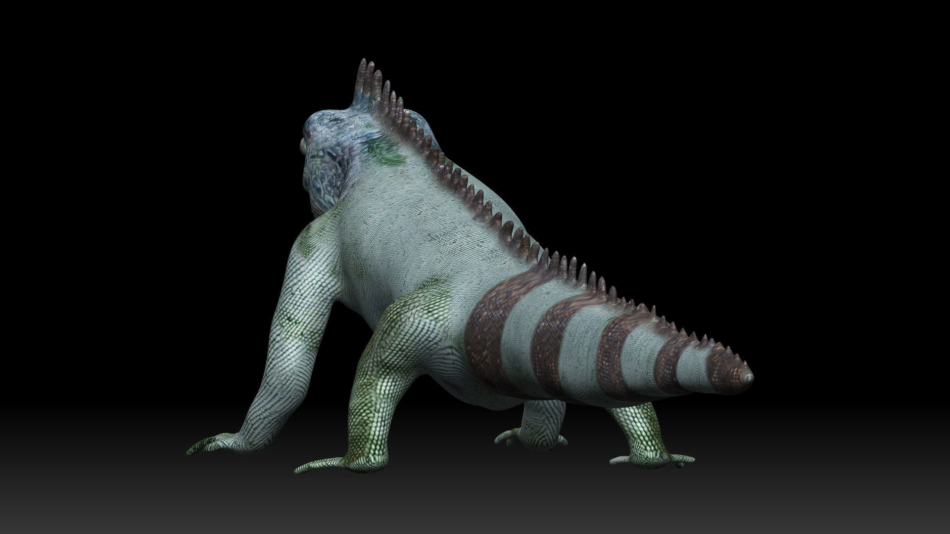 Iguana Lizard Low-poly 3D model_1