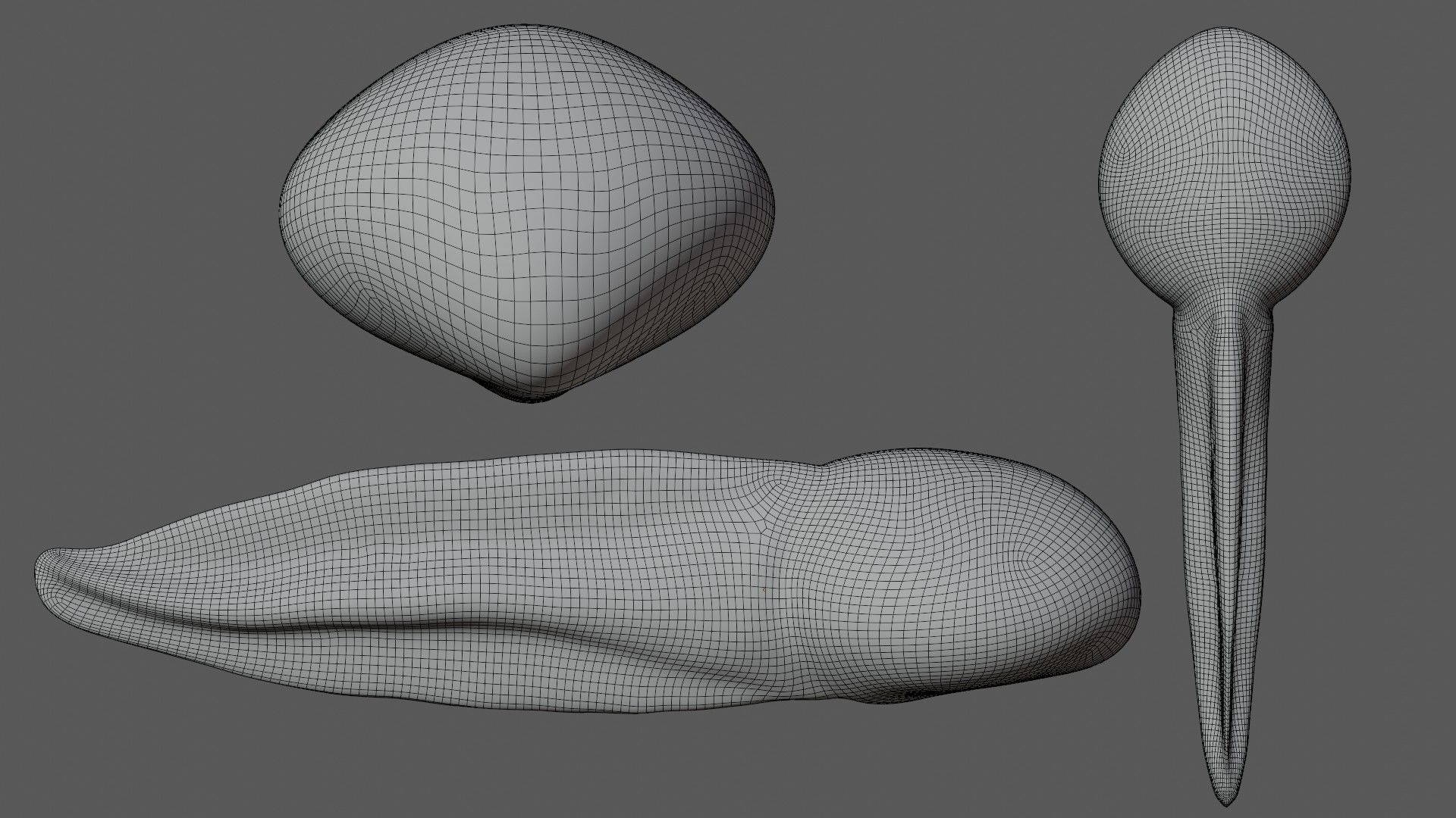 Tadpole squid Low-poly 3D model_5