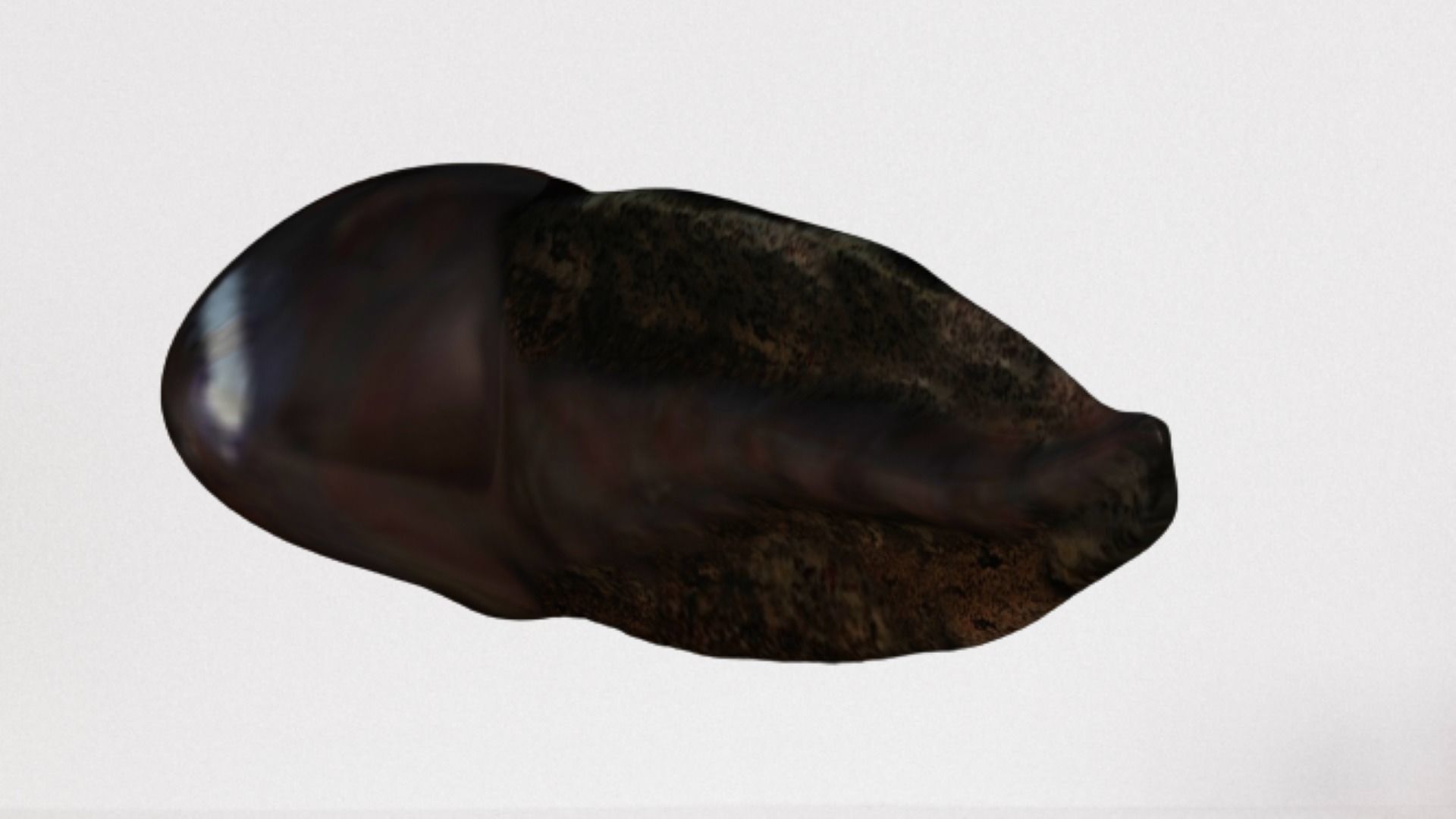 Tadpole squid Low-poly 3D model_6