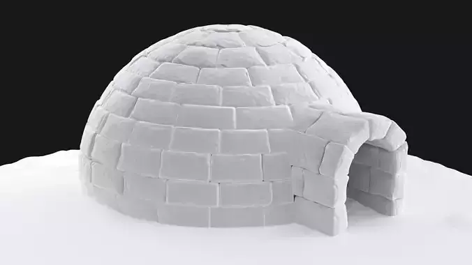 Igloo in snow 3D model