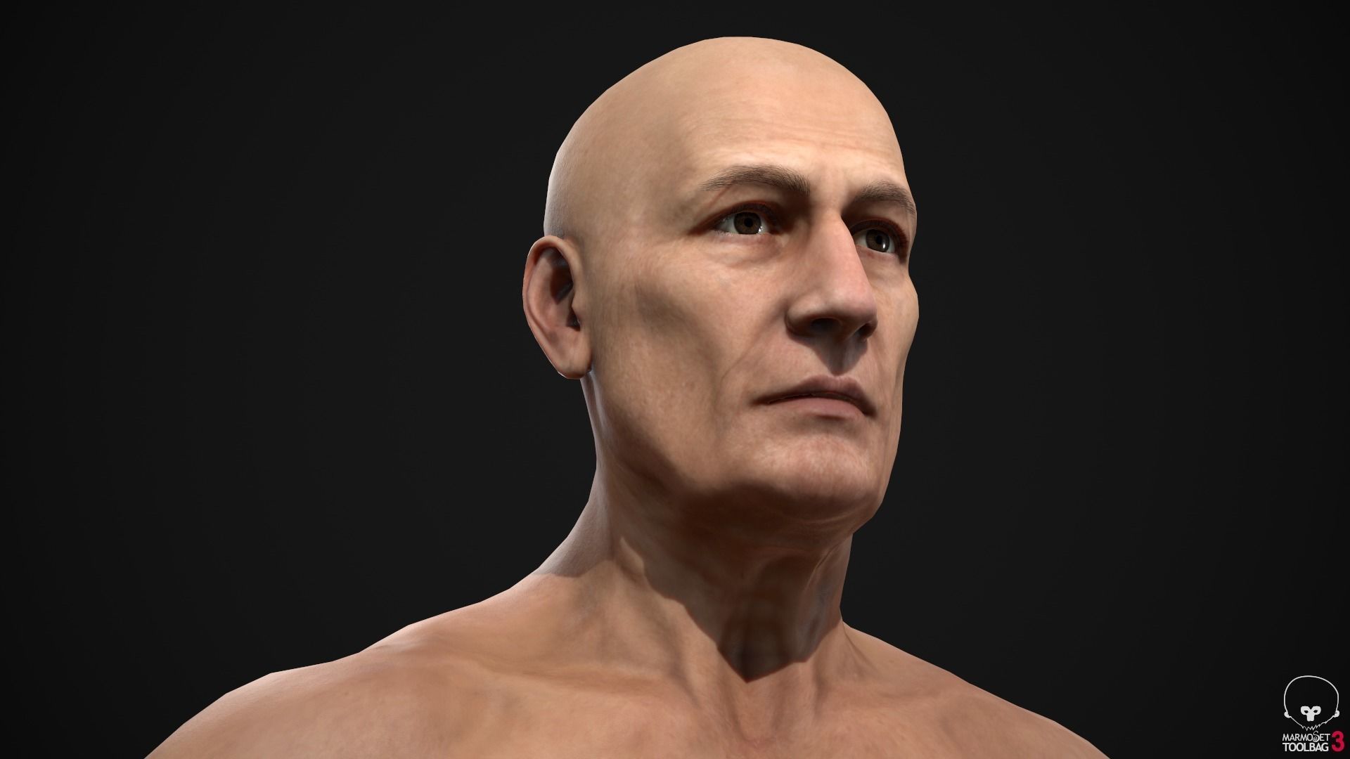 Old man Low-poly 3D model_17