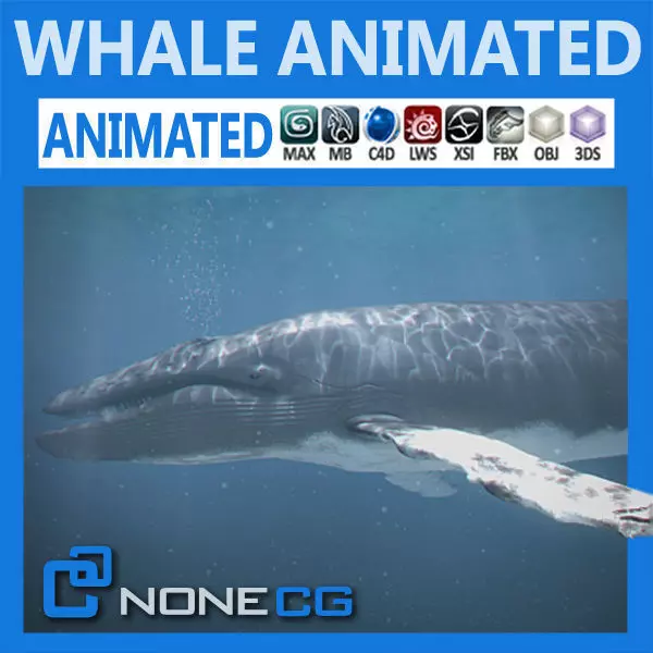 Animated Whale 3D model_0