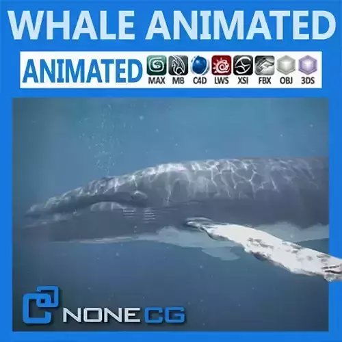 Animated Whale 3D model