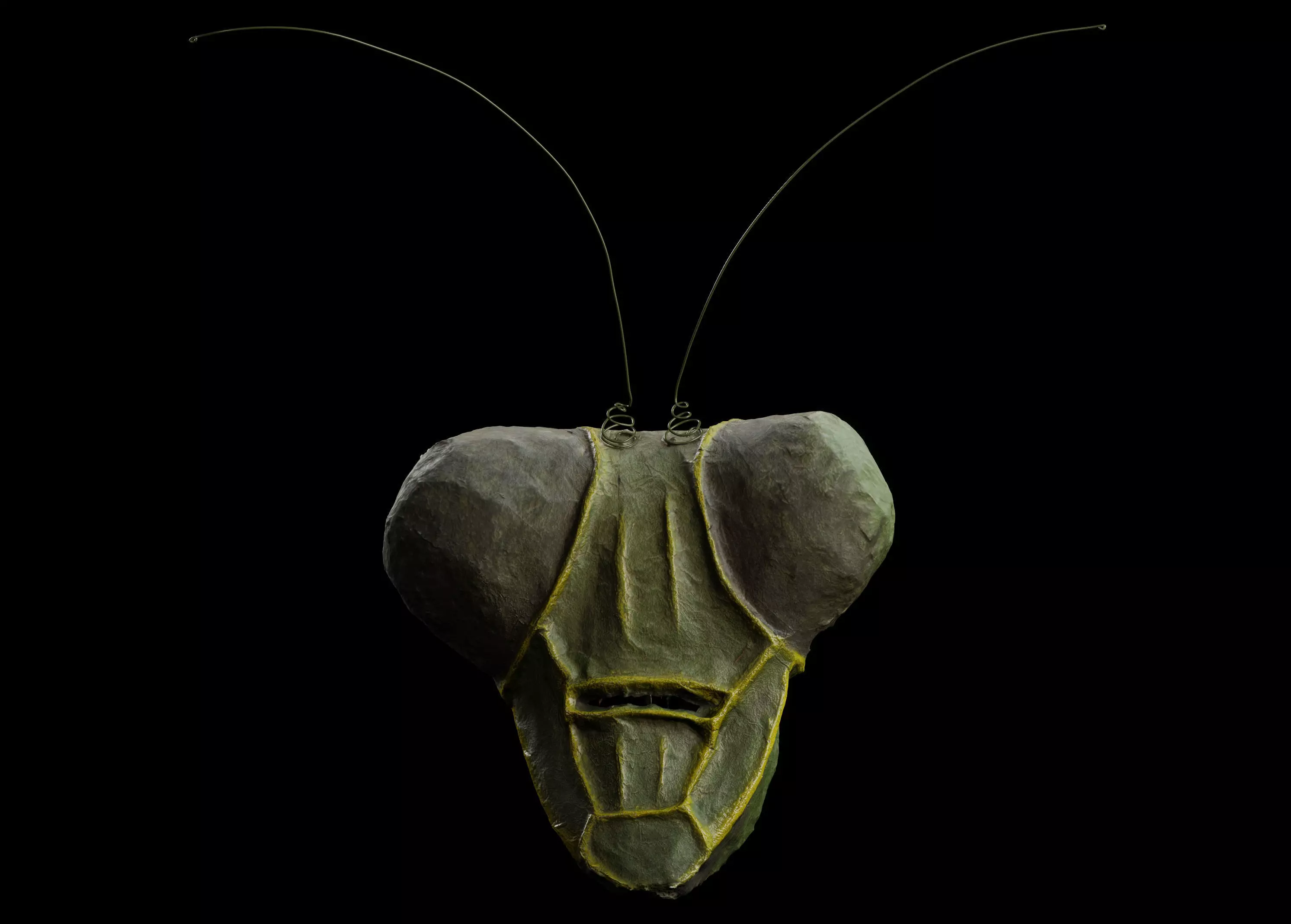 Praying Mantis Mask - 3D Scan Free 3D model_0