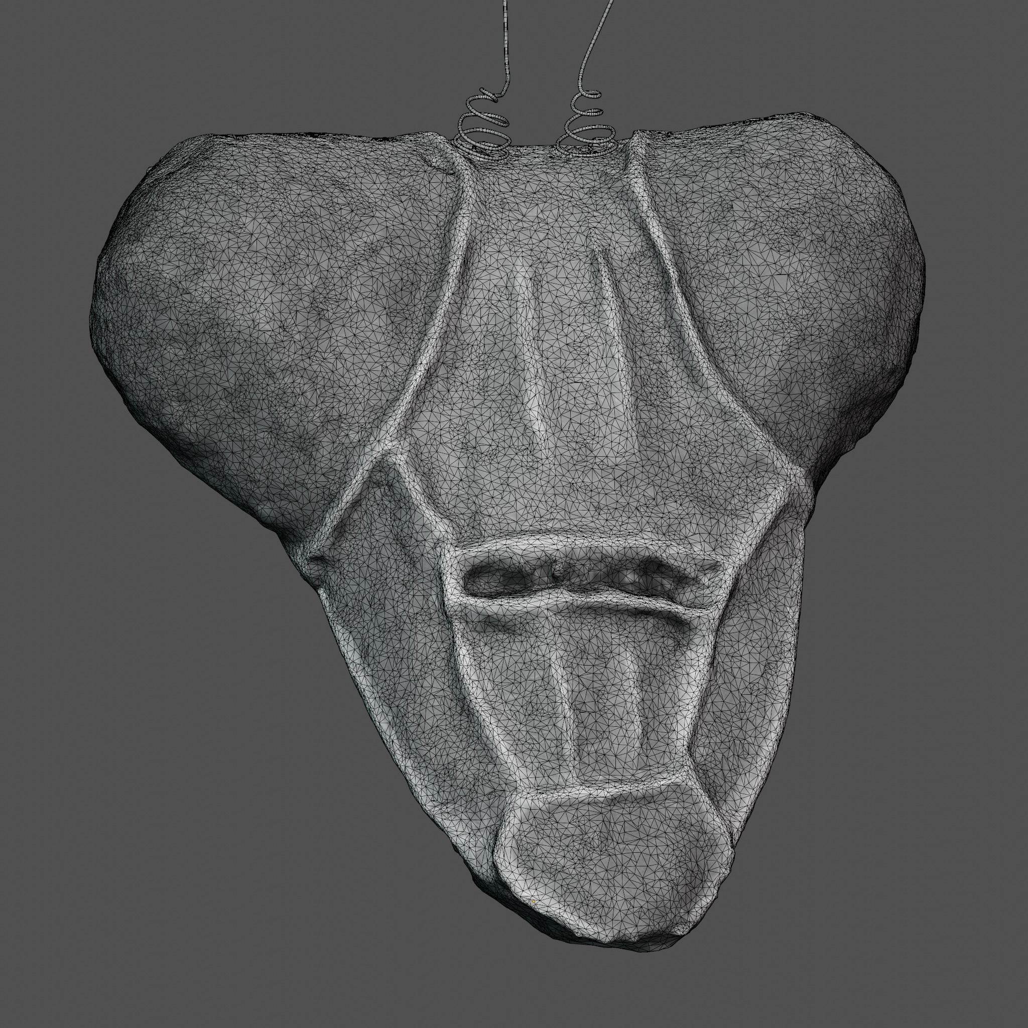 Praying Mantis Mask - 3D Scan Free 3D model_5