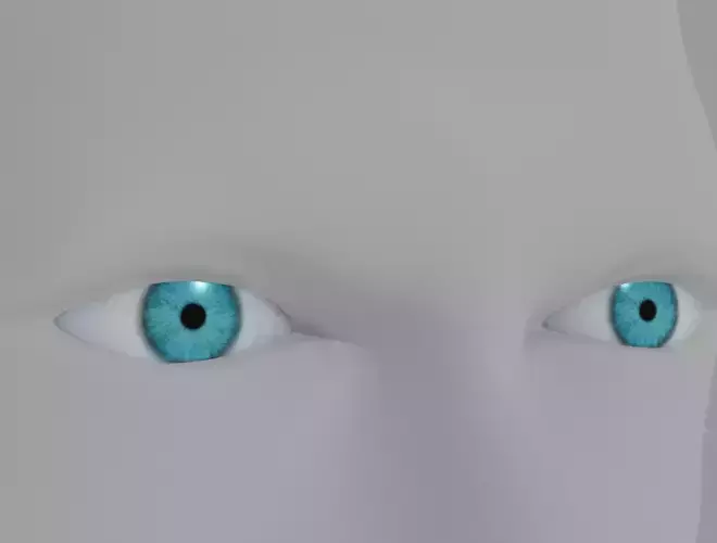 EYE FOR CHARACTERS Low-poly 3D model