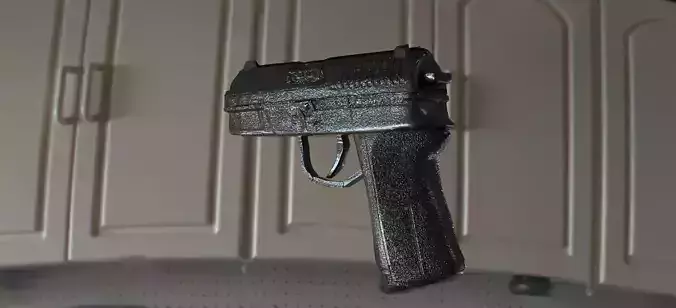 Sig Handgun