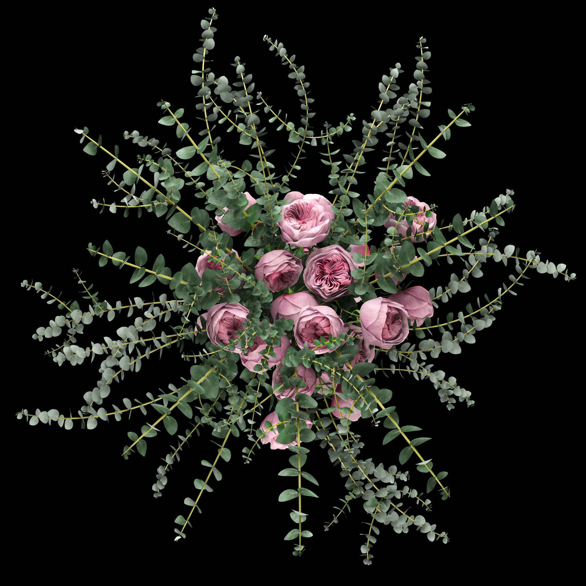 Pink roses and eucalyptus 3D model_2
