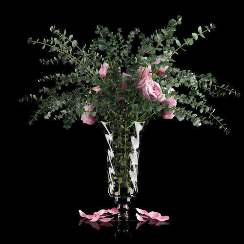 Pink roses and eucalyptus 3D model