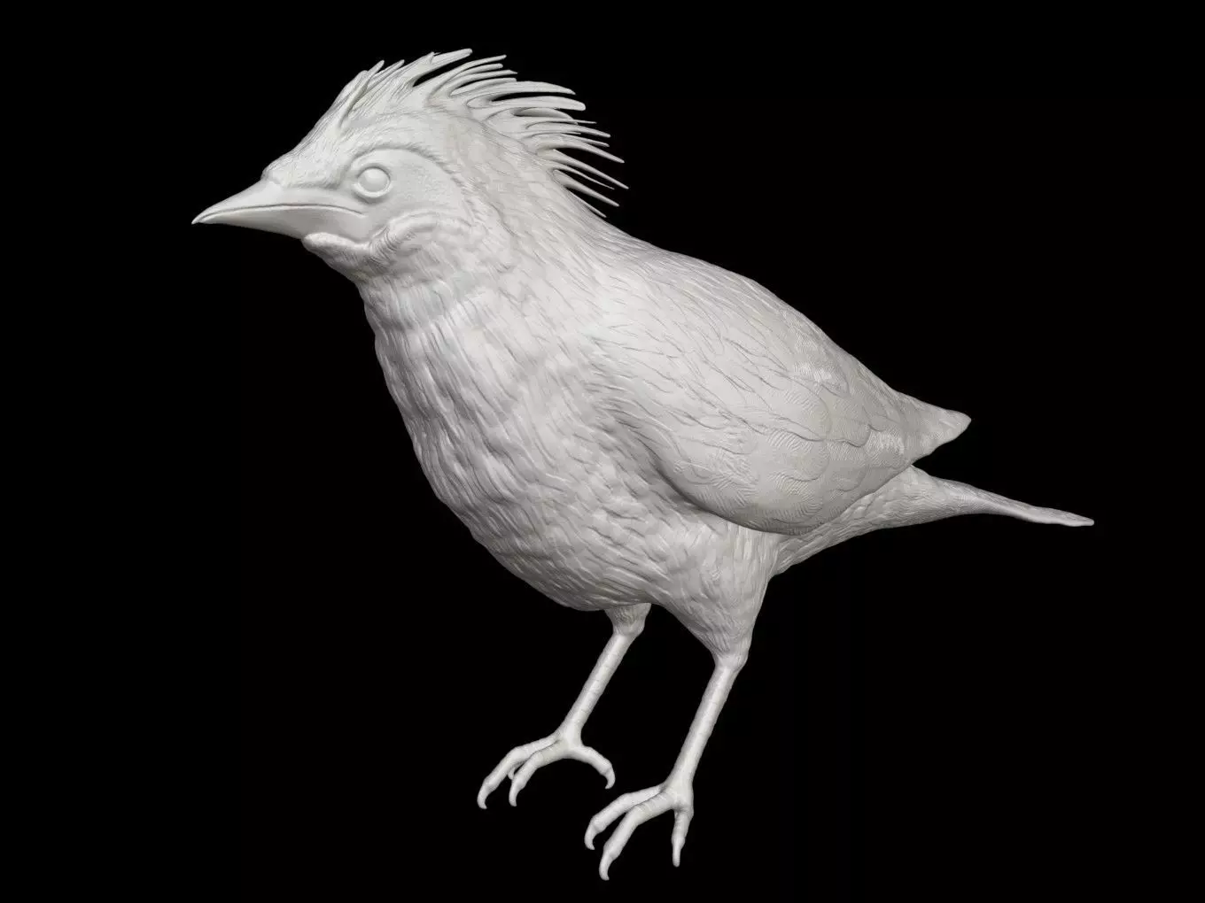 Bali Myna 3D print model