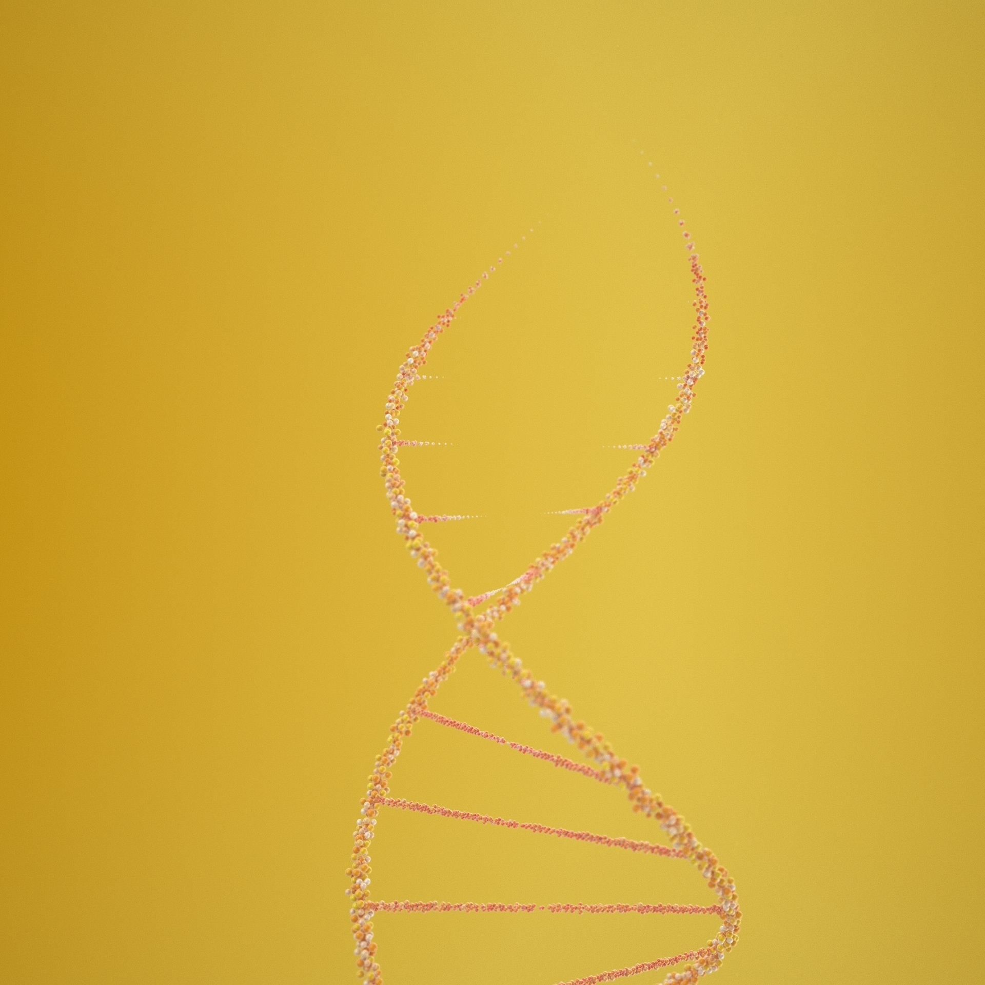 DNA Grow 3D model_3