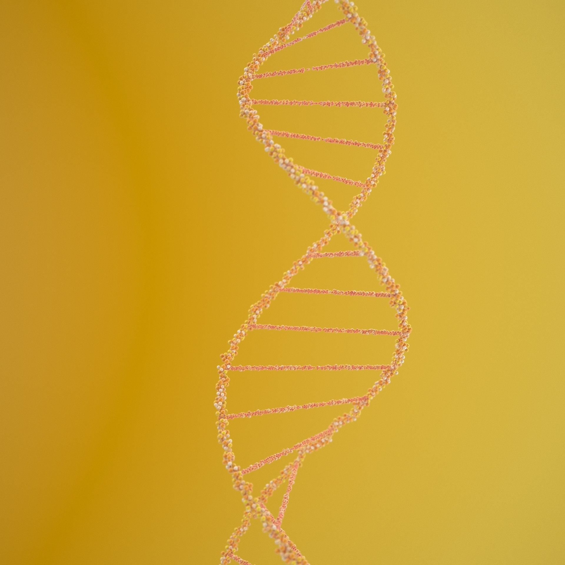 DNA Grow 3D model_2
