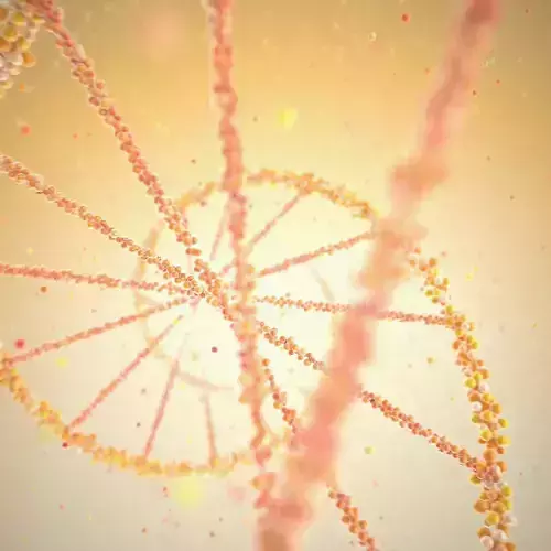 DNA Grow 3D model