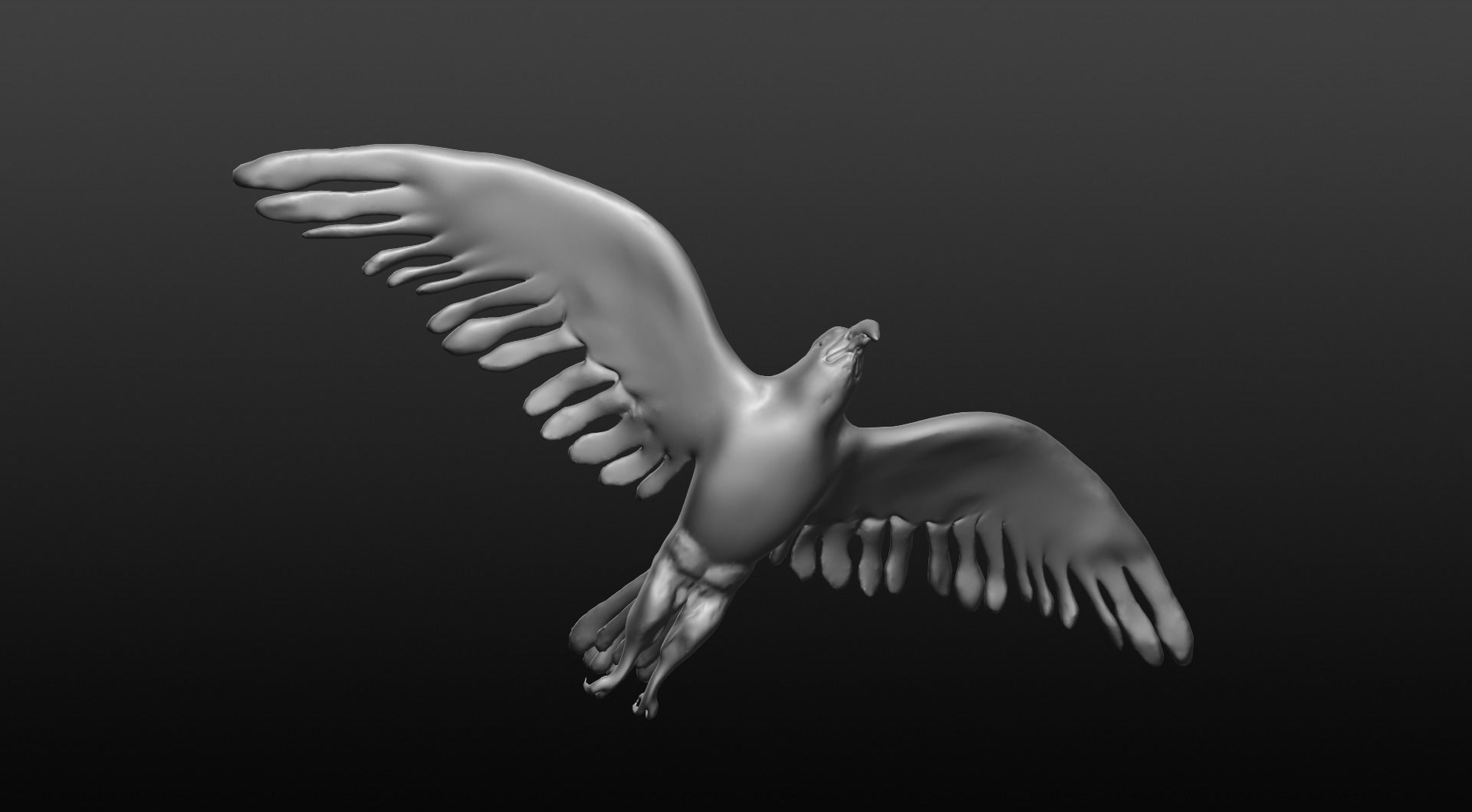 bald eagle 3D model_3