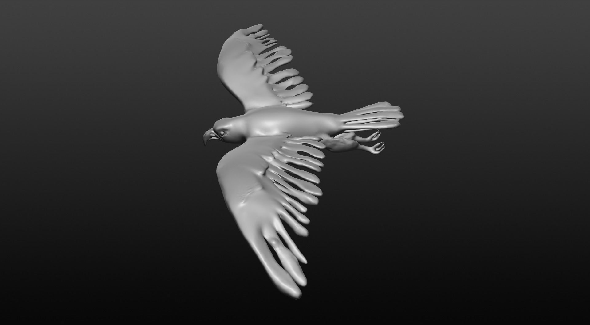bald eagle 3D model_5