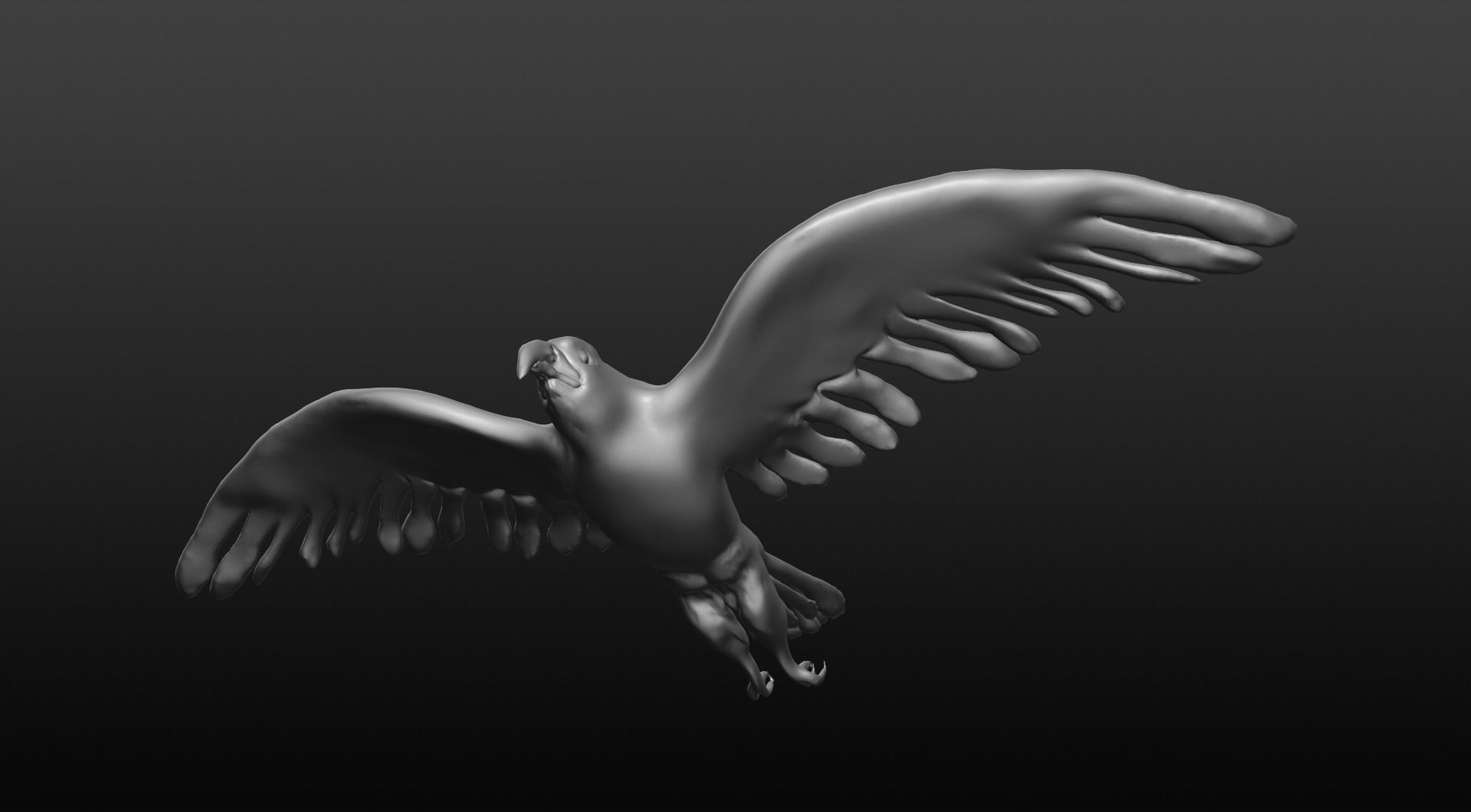 bald eagle 3D model_4