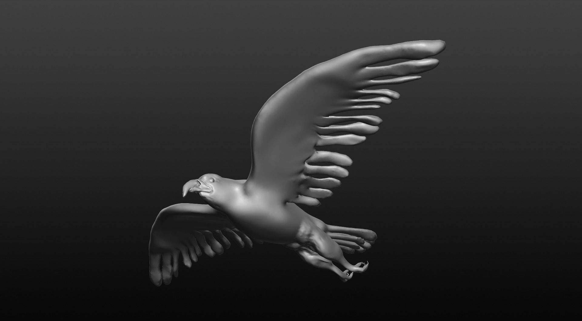 bald eagle 3D model_1