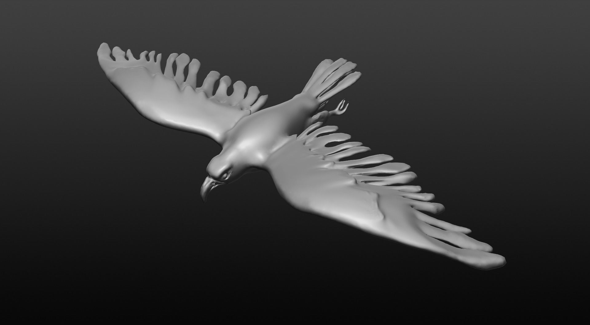 bald eagle 3D model_2