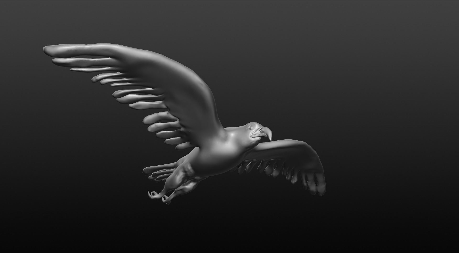 bald eagle 3D model_0