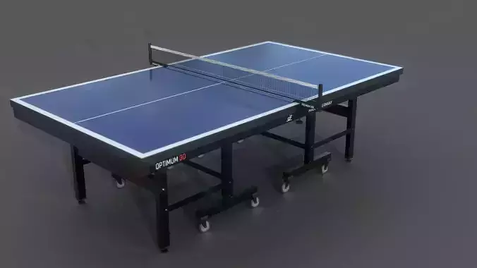 Ping pong table