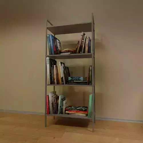 Rack with 40plus books