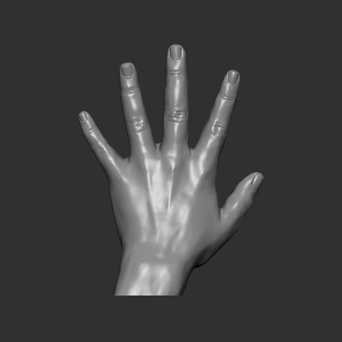 Hand 3D model highpoly 3D model