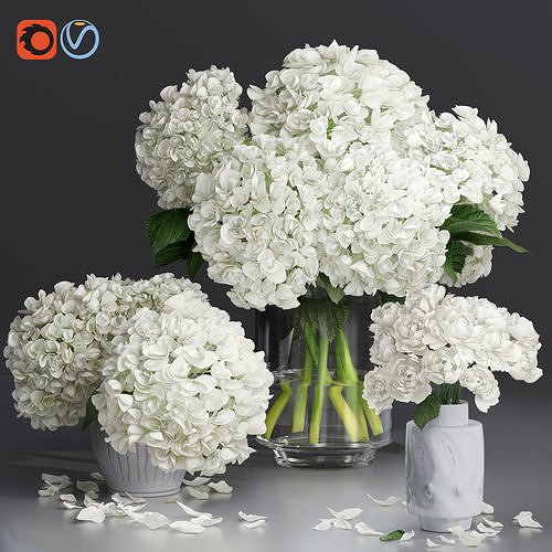 Hydrangea and peony Bouquet Flower plant Vase decorative set 3D model