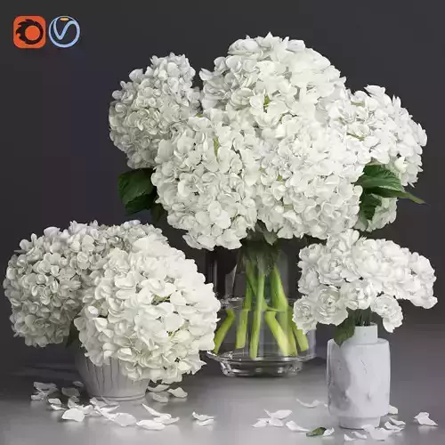 Hydrangea and peony Bouquet Flower plant Vase decorative set 3D model