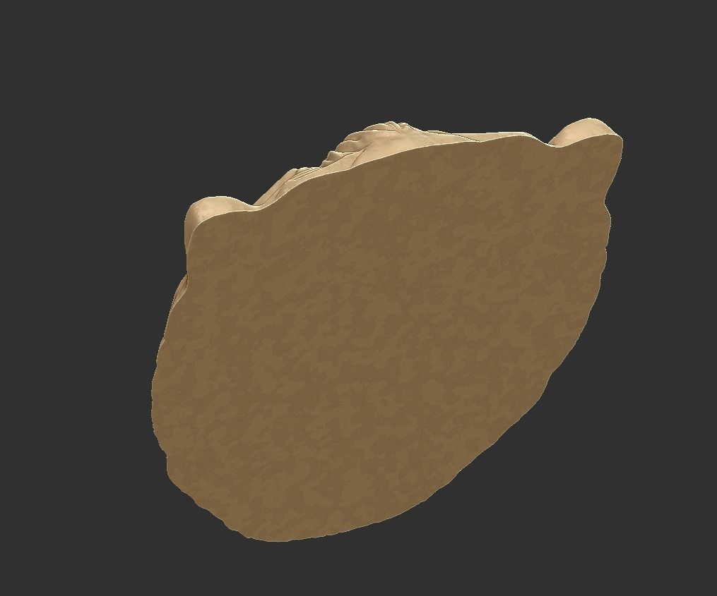 lion head 3D print model_11