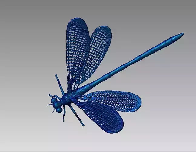 Dragonfly