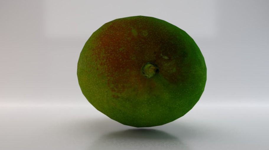 Mango  Low-poly 3D model_4