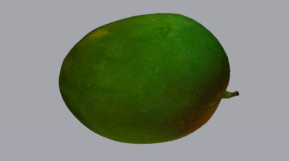 Mango  Low-poly 3D model_17