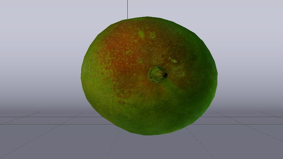 Mango  Low-poly 3D model_16