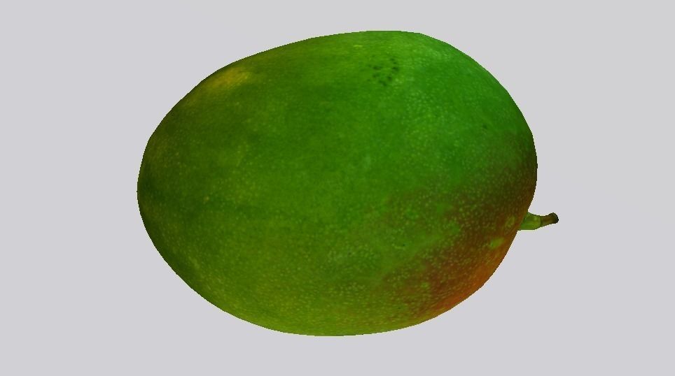 Mango  Low-poly 3D model_11