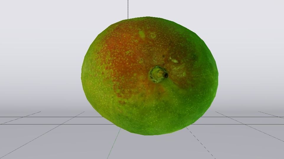 Mango  Low-poly 3D model_10