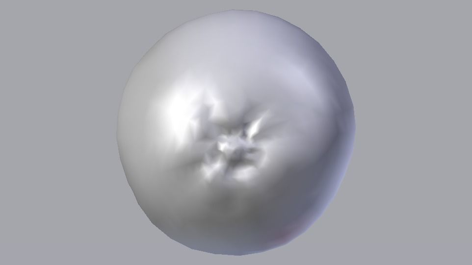 Orange  Low-poly 3D model_13