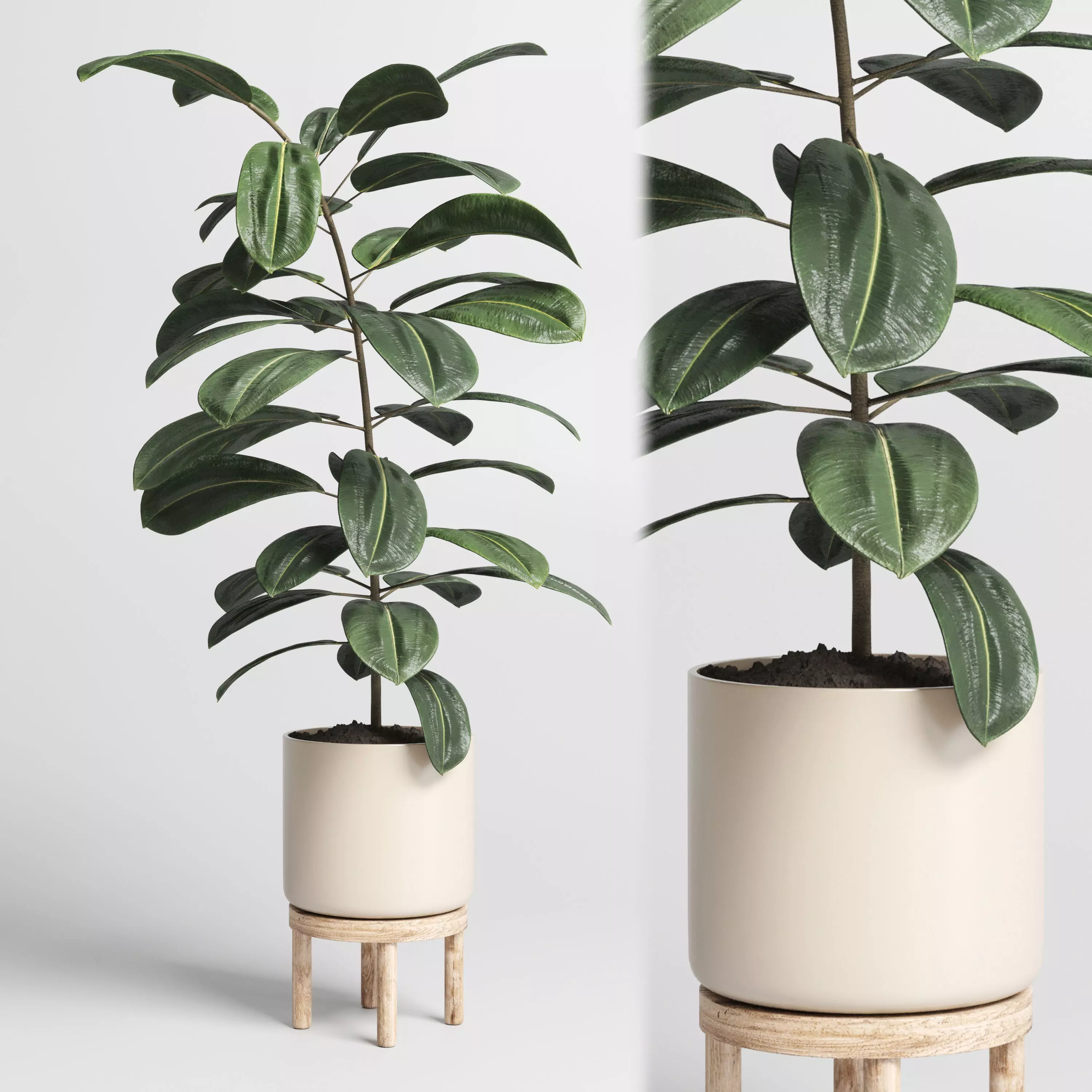 Indoor plant 53 vase wood 3D model