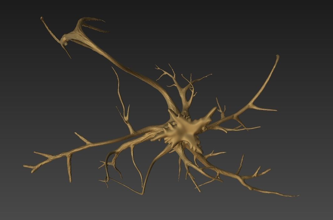 Winter Tree Free 3D model_7