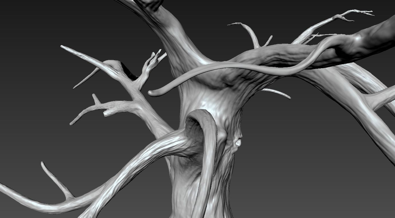 Winter Tree Free 3D model_15