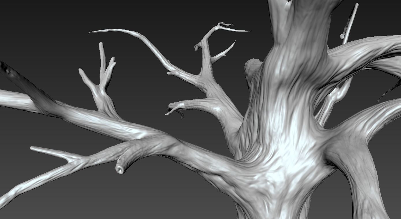 Winter Tree Free 3D model_18