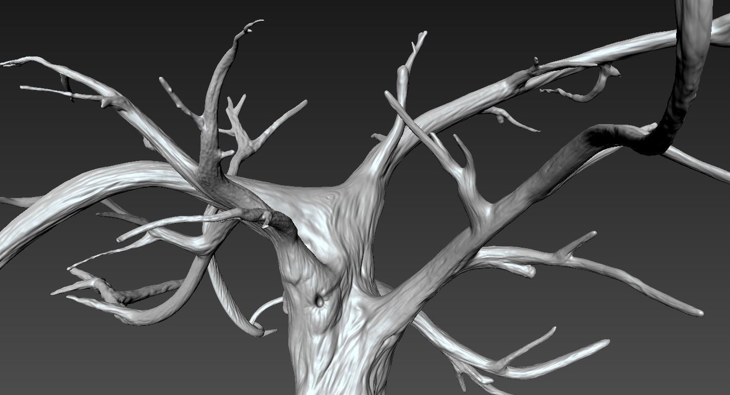 Winter Tree Free 3D model_14