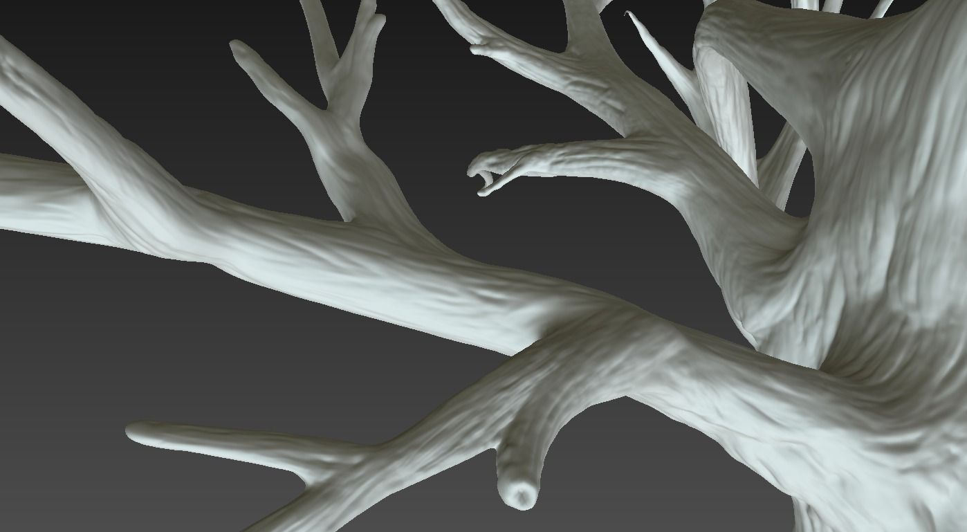 Winter Tree Free 3D model_20