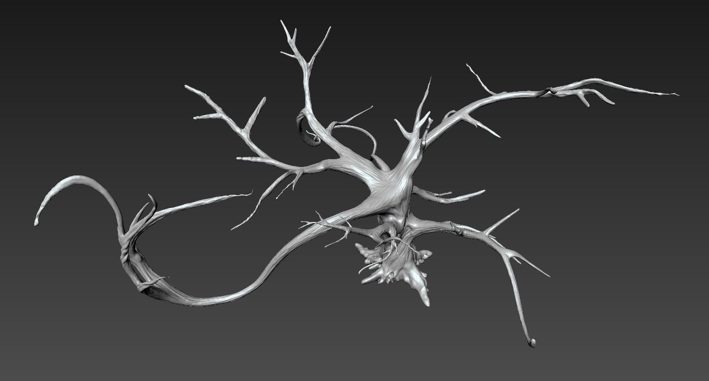 Winter Tree Free 3D model_10