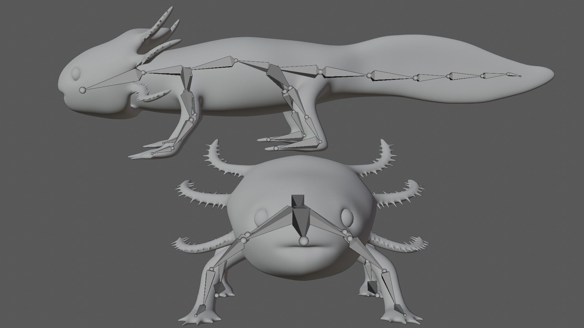 Axolotl arachnid Low-poly 3D model_8