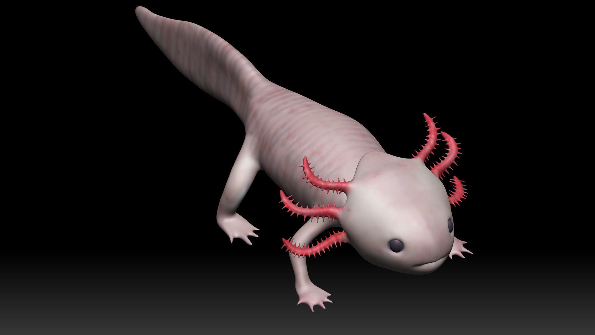 Axolotl arachnid Low-poly 3D model_10