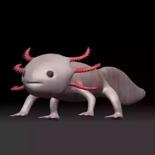 Axolotl arachnid Low-poly 3D model