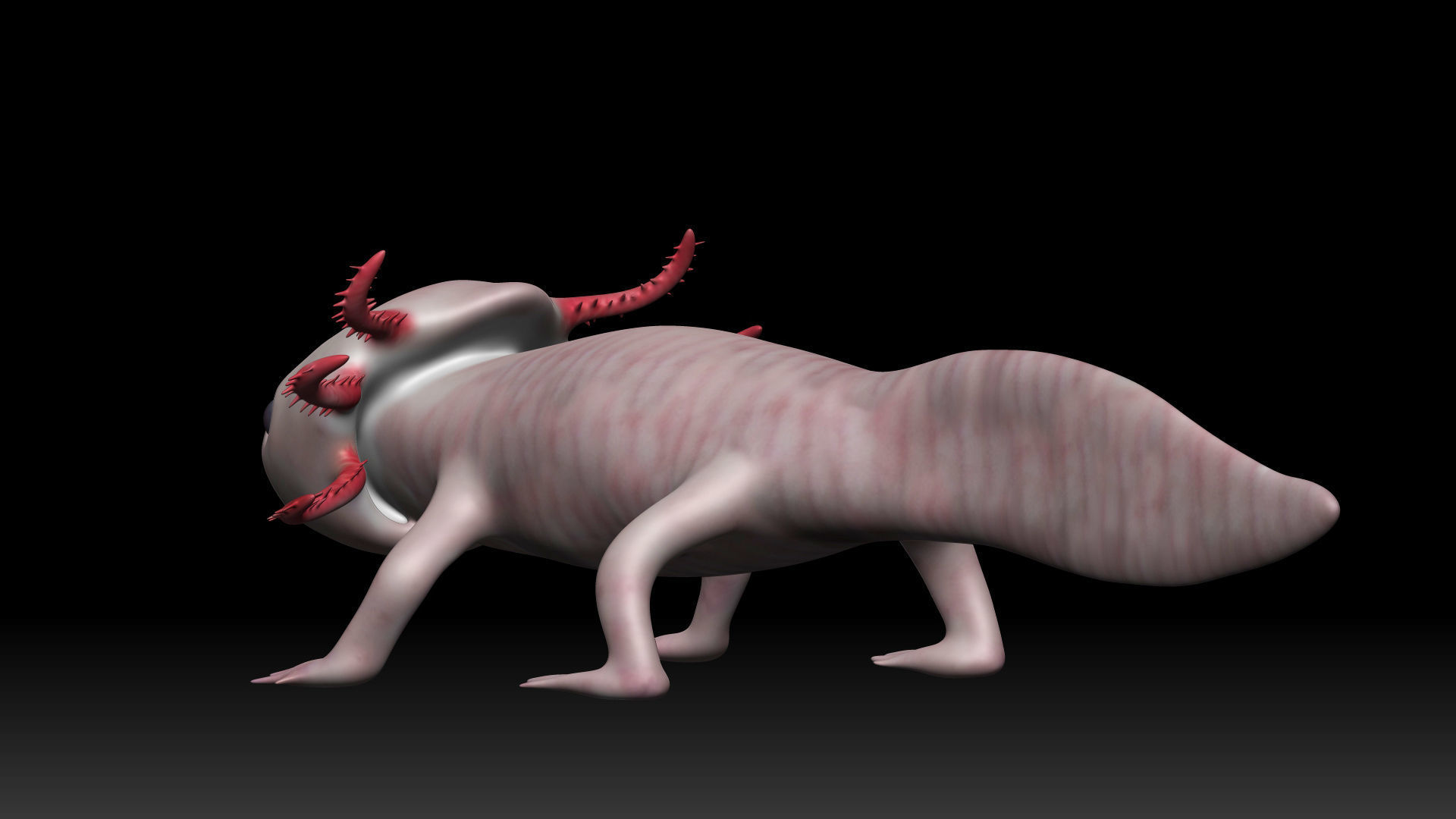 Axolotl arachnid Low-poly 3D model_4